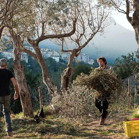 Ancient Estate "Il Trignano" Villa Vietri Dış mekan fotoğraf