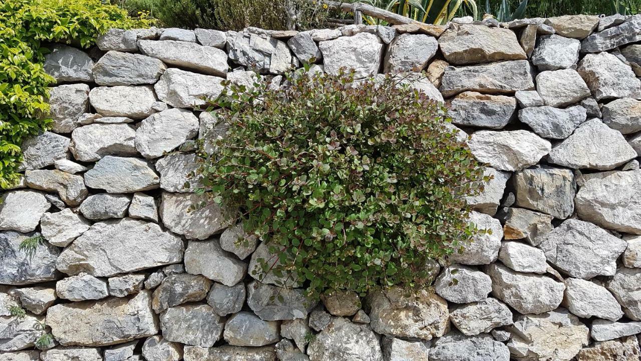Ancient Estate "Il Trignano" Villa Vietri Dış mekan fotoğraf