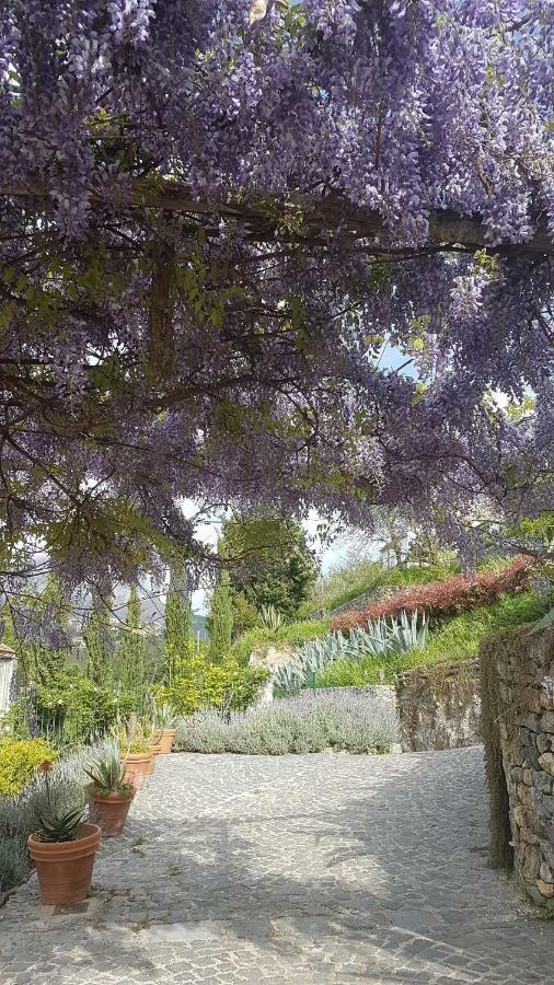 Ancient Estate "Il Trignano" Villa Vietri Dış mekan fotoğraf