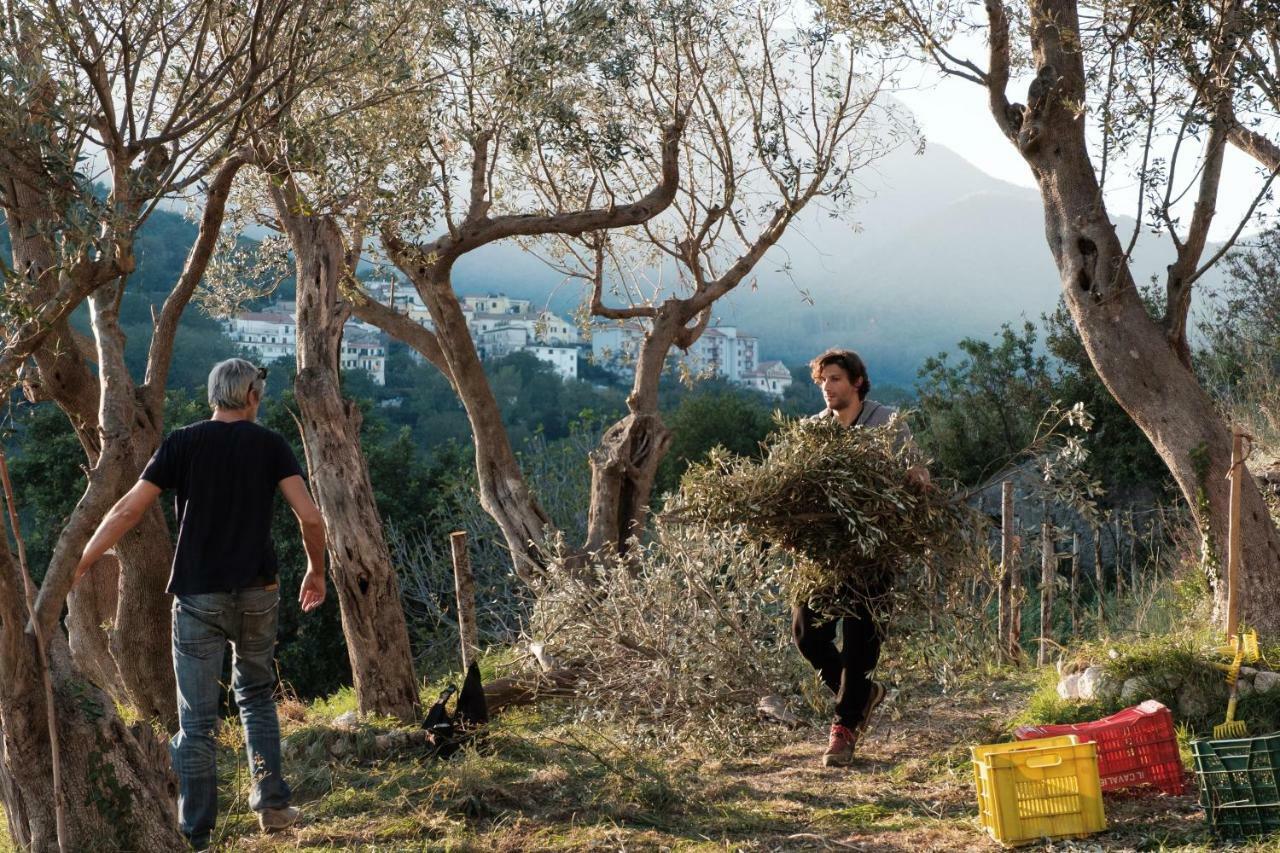 Ancient Estate "Il Trignano" Villa Vietri Dış mekan fotoğraf