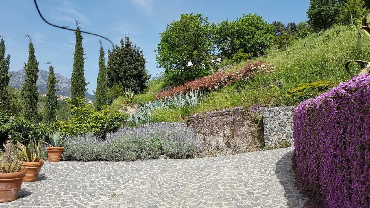 Ancient Estate "Il Trignano" Villa Vietri Dış mekan fotoğraf