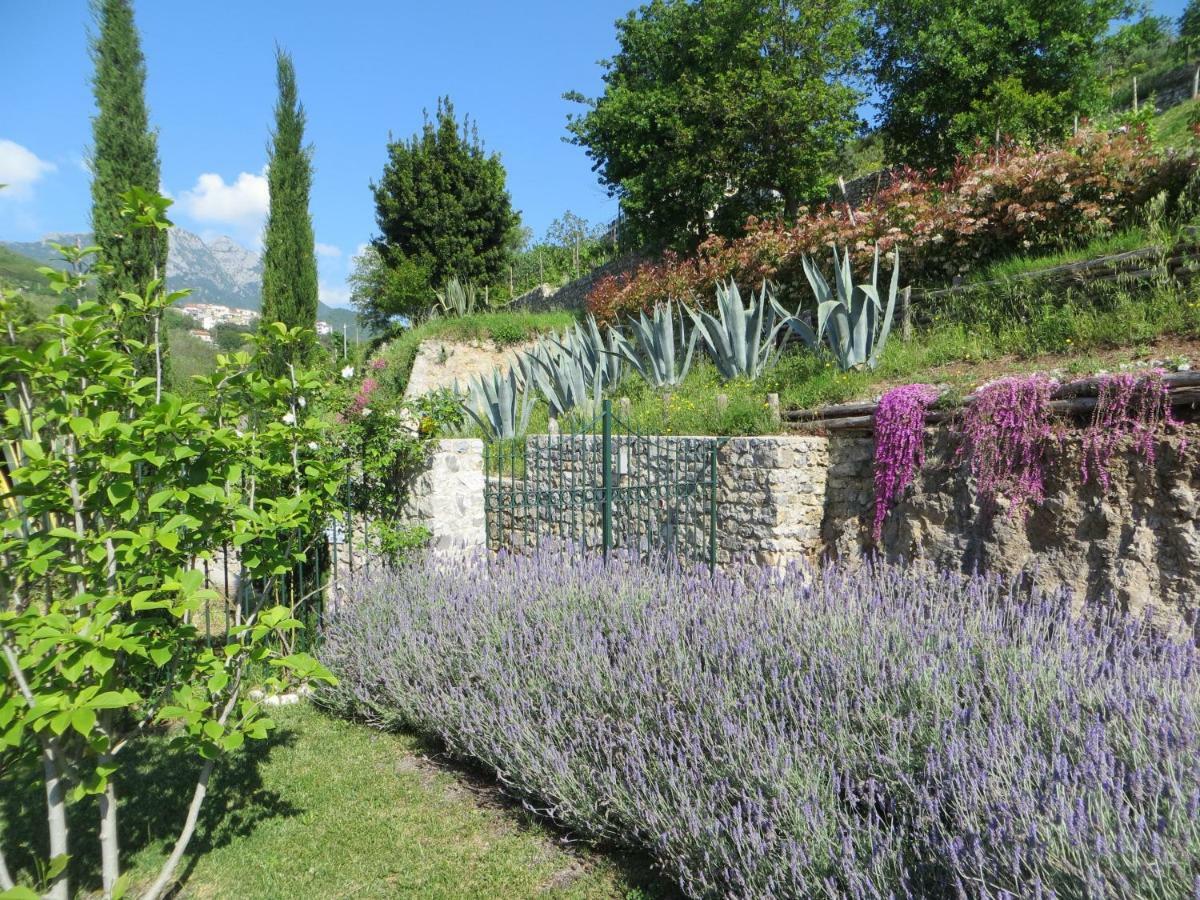 Ancient Estate "Il Trignano" Villa Vietri Dış mekan fotoğraf