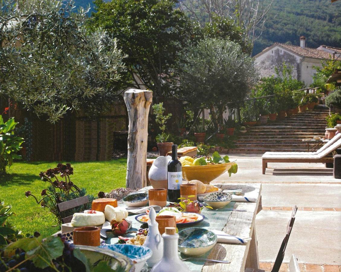 Ancient Estate "Il Trignano" Villa Vietri Dış mekan fotoğraf
